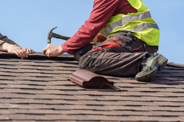 Best Roof Gutter Cleaning  in Jacinto City, TX