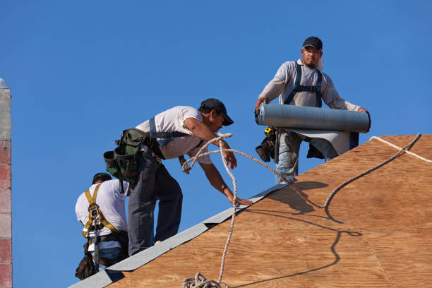 Professional Roofing Contractor in Jacinto City, TX